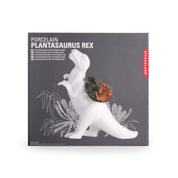 Kikkerland 5 in. H X 9.44 in. W X 11.41 in. D Ceramic Plantasaurus Rex Planter White