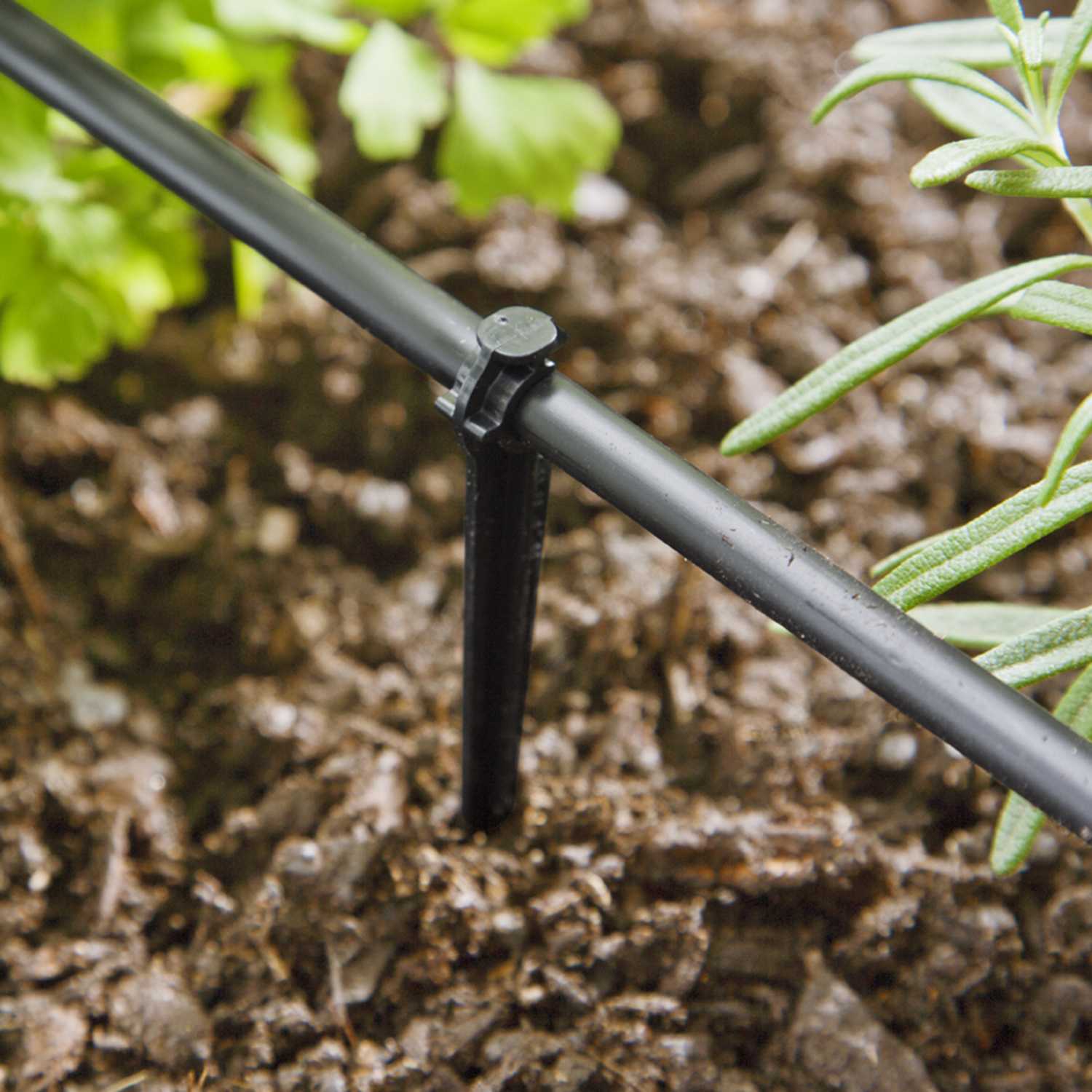 Raindrip Drip Irrigation Tubing Stake Ace Hardware