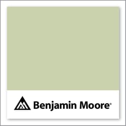 Benjamin Moore Apple Blossom 479
