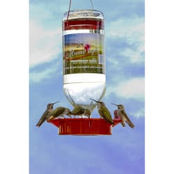 Humdinger Hummingbird 32 oz Glass Bottle Nectar Feeder 8 ports