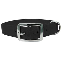 PDQ Black Single Web Nylon Dog Adjustable Collar Medium