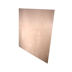 Alexandria Moulding 4 in. W X 4 in. L X 0.70 in. Plywood