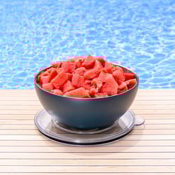 Served 100 oz Gray Stainless Steel Vacuum-Insulated Bowl 10 in. D 1 pk