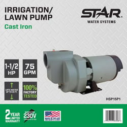 Star Water Systems 1-1/2 HP 4200 gph Cast Iron Sprinkler Pump