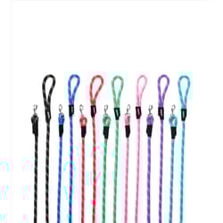 ZippyPaws Teal Poly Dog Leash