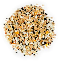 Nature's Nuts XtremeClean Assorted Species Millet Wild Bird Food 5 lb