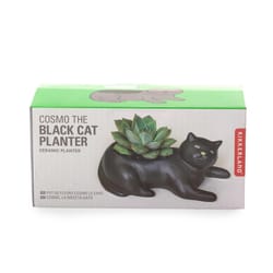 Kikkerland 2.4 in. H X 2.6 in. W X 5.7 in. D Ceramic Cosmo the Black Cat Planter black