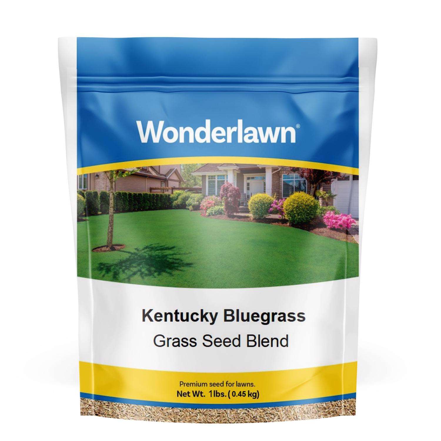 Wonderlawn Kentucky Bluegrass Full Sun Grass Seed 1 lb Ace Hardware