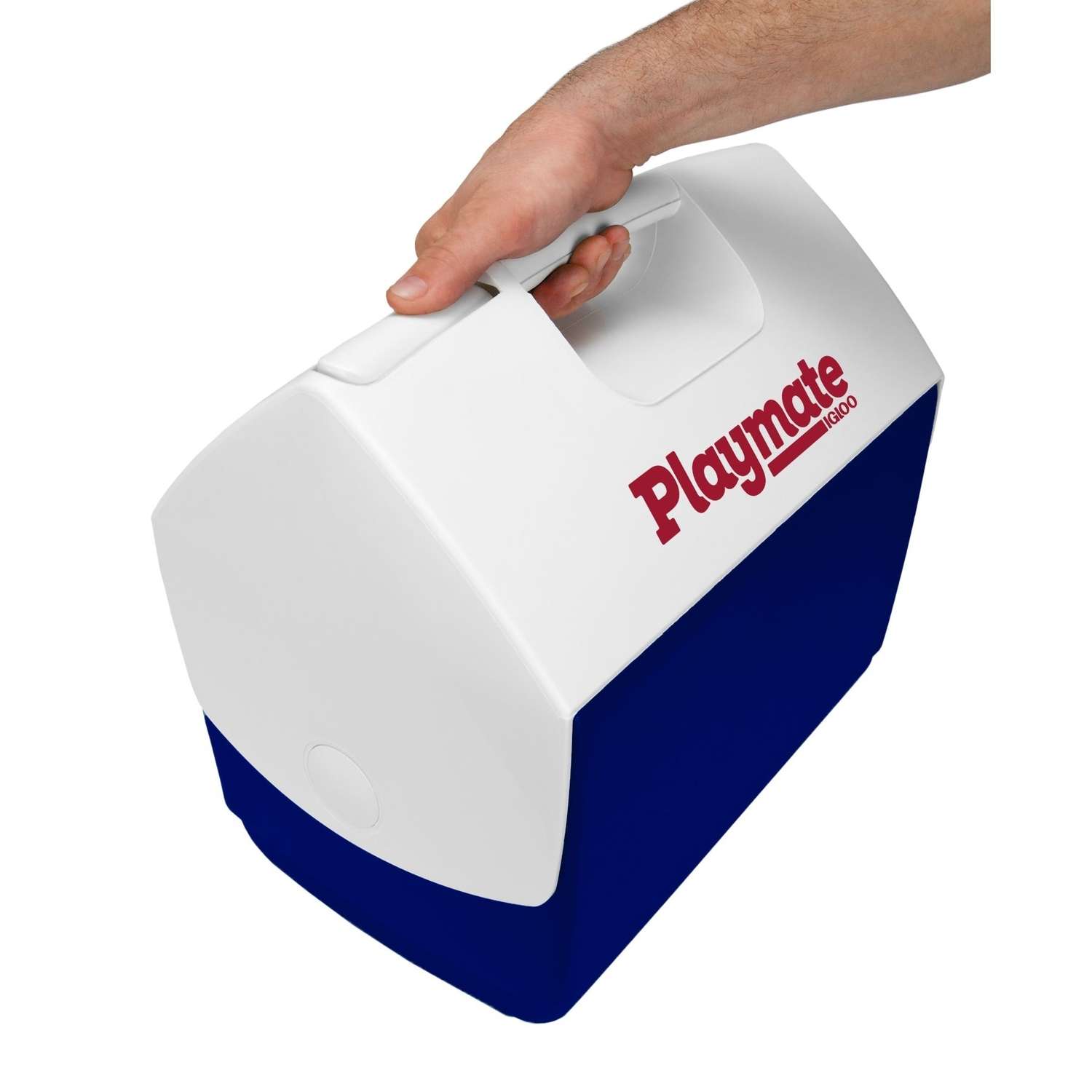 Igloo Playmate Cooler 16 qt. Blue Ace Hardware