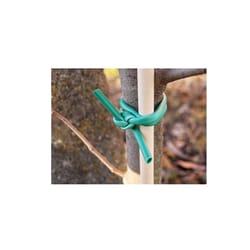 Luster Leaf Rapiclip 100 ft. W Green Vinyl Plant Stretch Tie