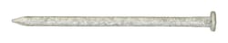 Ace 10D 3 in. Common Hot-Dipped Galvanized Steel Nail Flat Head 1 lb
