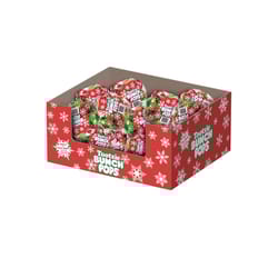 Tootsie Roll Bunch Pops Assorted Lollipop 3.6 oz