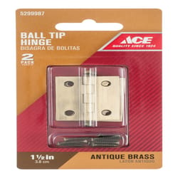 Ace 1-1/2 in. W X 1-1/4 in. L Antique Brass Brass Ball Tip Hinge 2 pk