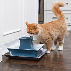 PetSafe Drinkwell Blue Pagoda Ceramic 70 oz Pet Water Fountain For All Pets