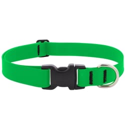 LupinePet Splash Neon Green BioThane Dog Adjustable Collar Large