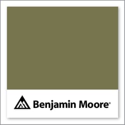 Benjamin Moore Shady Lane 497