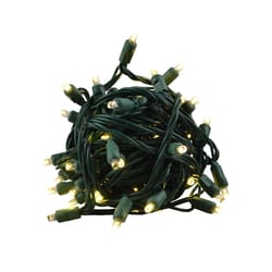 Celebrations LED Grand Mini Warm White 50 ct String Christmas Lights 25 ft.