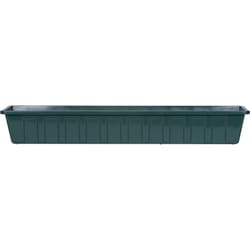 Novelty Poly Pro 5 in. H X 36 in. W X 8 in. D PP Plastic Poly Pro Flower Box Green