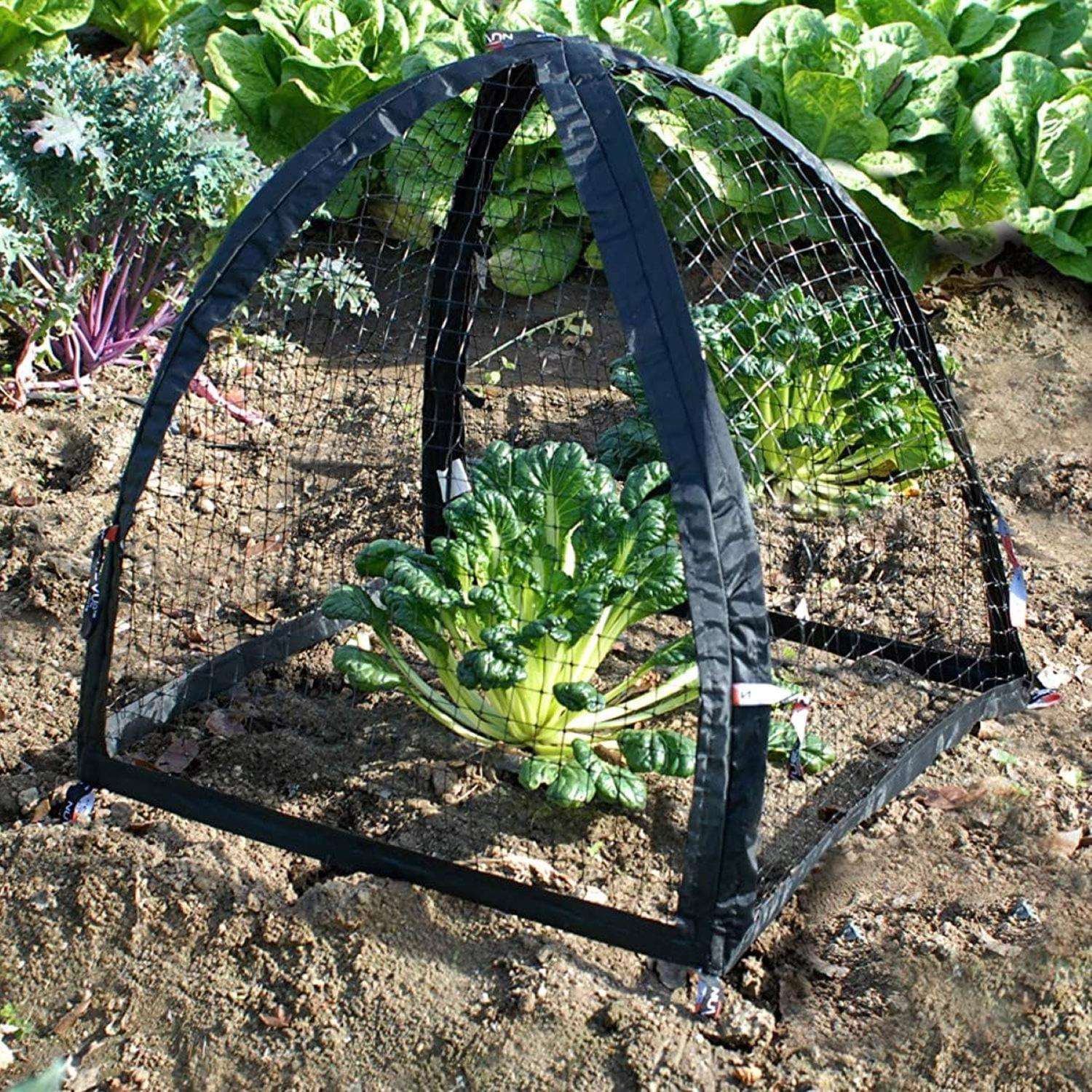 NuVue PestGuard 25 in. L X 25 in. W 1 pk Plant Protector