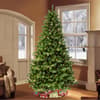 image-3