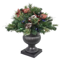 Celebrations 2 ft. Full LED 35 ct Twig Pine Bow Color Changing Porch Bush