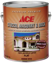 Ace  Flat  White  Acrylic Latex  Stucco, Masonry and Brick Paint  1 gal. 