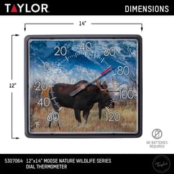 Taylor Moose Dial Thermometer Plastic Multicolored 14 in.