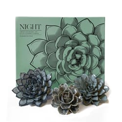 Chive Ceramic Flowers 2.9 in. H X 11 in. W X 13.3 in. L Glazed Blue Ceramic Night Box Set