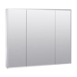 Zenna Home 29.88 in. H X 35.88 in. W X 4-1/4 in. D Rectangle Medicine Cabinet