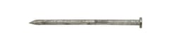 Ace 6D 2 in. Common Hot-Dipped Galvanized Steel Nail Flat Head 5 lb