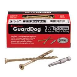 FastenMaster GuardDog No. 10 X 3-1/2 in. L Gold Phillips/Square Bugle Head Deck Screws 75 pk