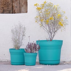 Bloem Saturn 10.75 in. H X 12.25 in. W Plastic Traditional Planter Bermuda Teal