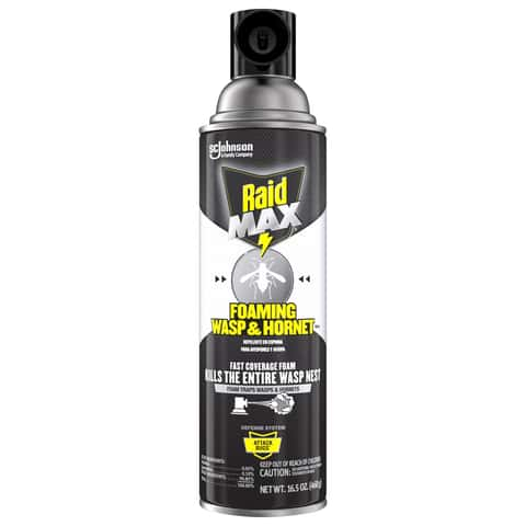 Raid Max Wasp and Hornet Killer Foam 16.5 oz - Ace Hardware