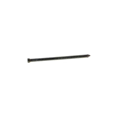 Ace 8D 2-1/2 in. Finishing Hot-Dipped Galvanized Steel Nail Brad Head 6 oz