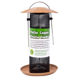 Songbird Essentials Goldfinch 0.5 lb Metal Bird Feeder