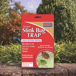 Bonide Bug Beater Stink Bug Trap 3 pk