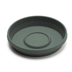Bloem Terra 1 in. H X 5.5 in. W X 4.75 in. D Plastic Traditional Plant Saucer Basil