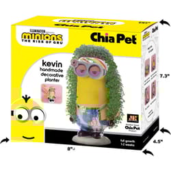 Chia Pet Minions the Rise of Gru Kevin Decorative Planter Clay 1 pk