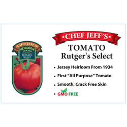 Chef Jeff Red Heirloom Rutgers Select Tomato Vegetable Plant