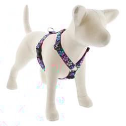 LupinePet Original Designs Multicolored Flower Power Nylon Dog Harness