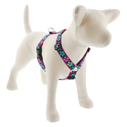 LupinePet Original Designs Multicolored Flower Power Nylon Dog Harness