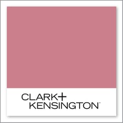 Clark+Kensington Live It Up 05C-4