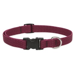 Lupine Pet Eco Berry Berry Recycled Plastic Dog Adjustable Collar