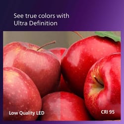 Philips G25 E26 (Medium) LED Bulb Soft White 60 Watt Equivalence 2 pk