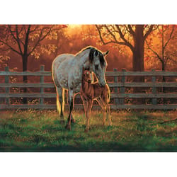 Cobble Hill Quiet Time Jigsaw Puzzle Cardboard 500 pc