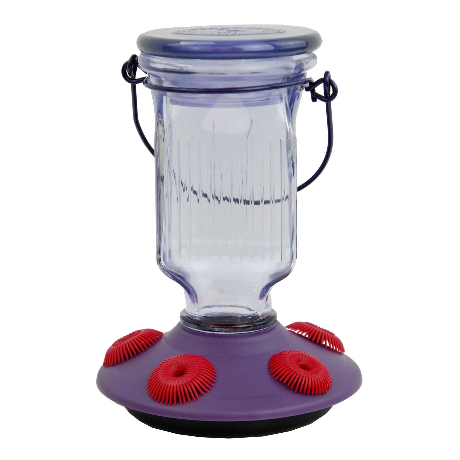 PerkyPet Hummingbird 16 oz. Glass/Plastic Nectar Feeder 5 ports Ace Hardware