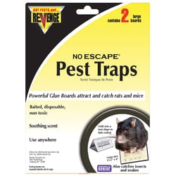 Bonide Revenge Non-Toxic Bait Tray Glue Pad For Mice and Rats 2 pk