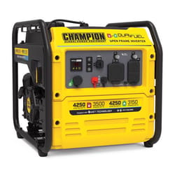 Champion 120 V Gas/LP Generator