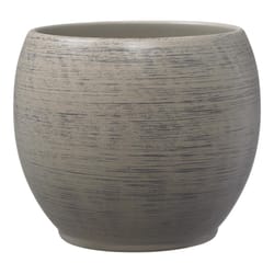 SK 5.1 in. H X 5.9 in. D Clay Alberta Bowl Planter Brown