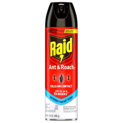 Raid Insect Killer Aerosol 17.5 oz